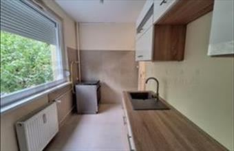 Kiadó Szegedi panel lakás hirdetés (53711339)