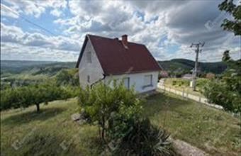 Eladó Zalaegerszegi családi ház hirdetés (51437289)