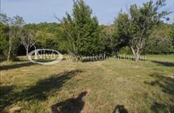 Eladó Balatonkenesei külterületi telek hirdetés (52987349)