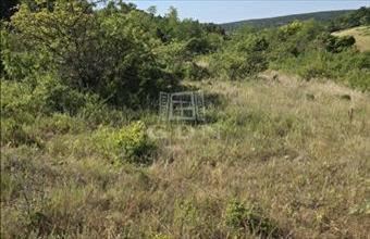 Eladó Balatonalmádi lakóövezeti telek hirdetés (79943322)