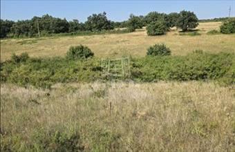 Eladó Balatonalmádi lakóövezeti telek hirdetés (41389225)