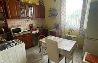 Eladó Tiszaeszlári családi ház hirdetés (51784754)
