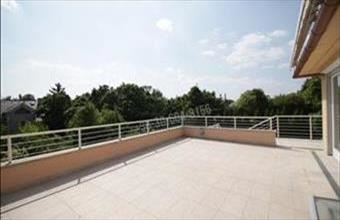 Kiadó Budapest II. kerületi családi ház hirdetés (59693381)