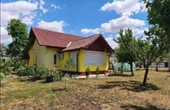 Eladó Székkutasi tanya hirdetés (43516958)