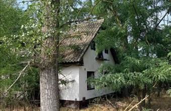 Eladó Ócsai termőföld, szántó hirdetés (41427334)