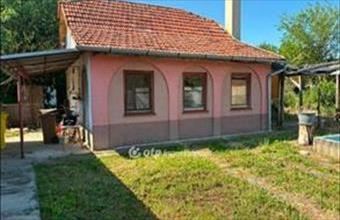 Eladó Mezőkovácsházai családi ház hirdetés (48363414)