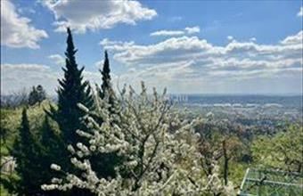 Eladó Budaörsi üdülőövezeti telek hirdetés (95844359)