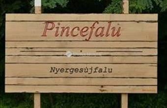 Eladó Nyergesújfalui családi ház hirdetés (33577637)