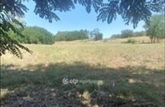 Eladó Nyíregyházai egyéb mezőgazdasági ingatlan hirdetés (94744736)