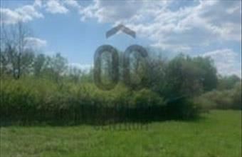 Eladó Ráckevei üdülőövezeti telek hirdetés (44795975)