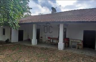 Eladó Tiszaszőlősi családi ház hirdetés (81431324)