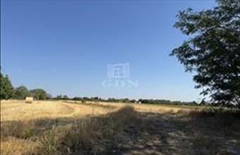Eladó Úrhidai lakóövezeti telek hirdetés (42347944)
