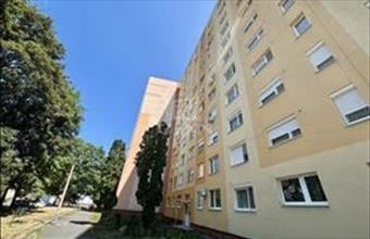 Eladó Miskolci panel lakás hirdetés (24493336)