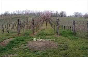 Eladó Romándi egyéb telek hirdetés (52633773)
