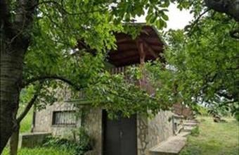 Eladó Csapi hétvégi ház hirdetés (67746433)