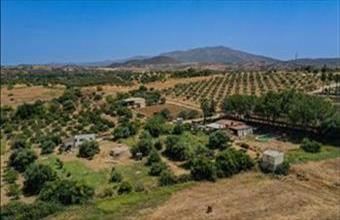 Eladó Spanyolországi tanya hirdetés (74364714)