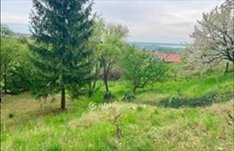 Eladó Sukorói üdülőövezeti telek hirdetés (43588876)