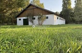 Eladó Budakeszi egyéb mezőgazdasági ingatlan hirdetés (24435428)