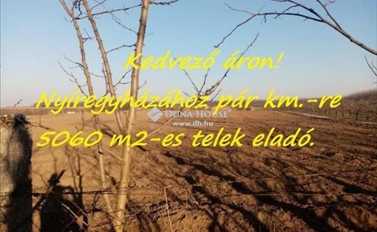 hirdetés 1. fotó