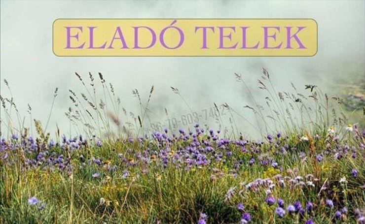 hirdetés 1. fotó