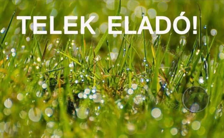 hirdetés 1. fotó