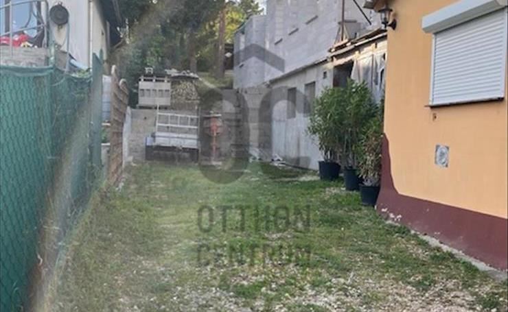 hirdetés 1. fotó