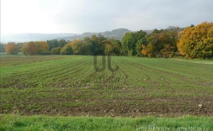 hirdetés 1. fotó