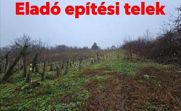 hirdetés 1. fotó