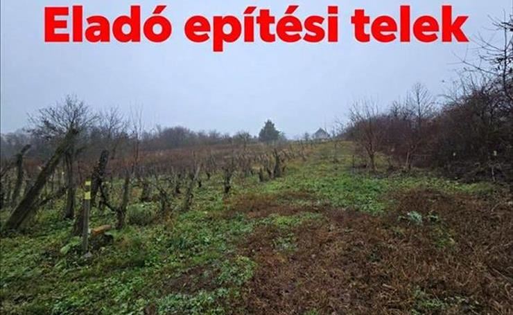 hirdetés 1. fotó