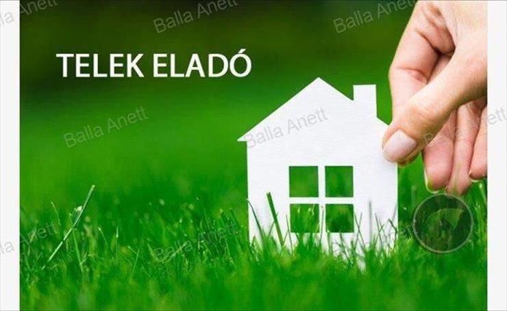 hirdetés 1. fotó