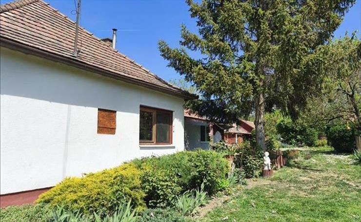 hirdetés 1. fotó