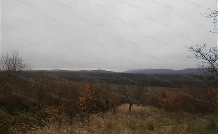 hirdetés 1. fotó