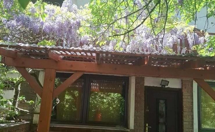 hirdetés 1. fotó