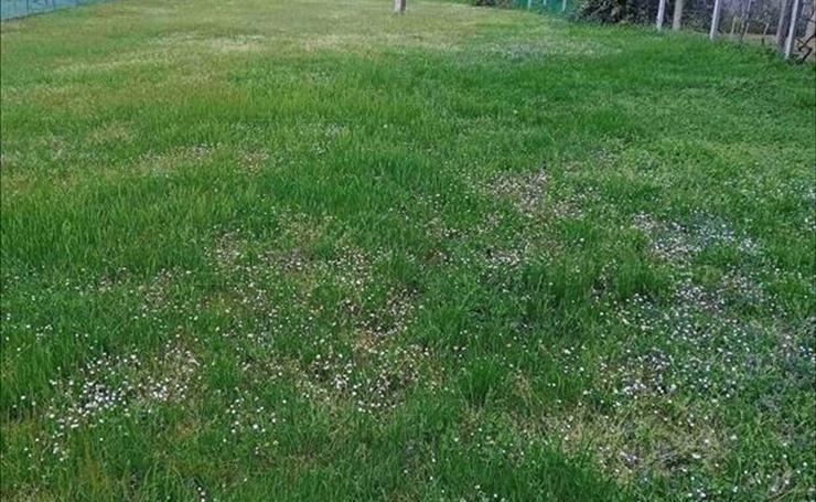 hirdetés 1. fotó