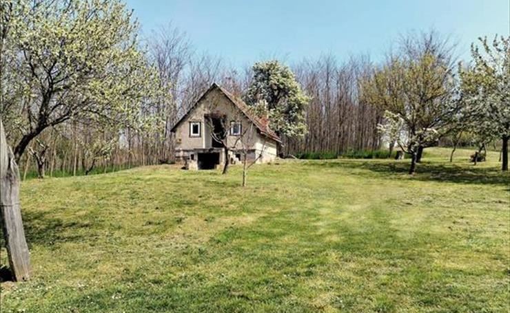 hirdetés 1. fotó