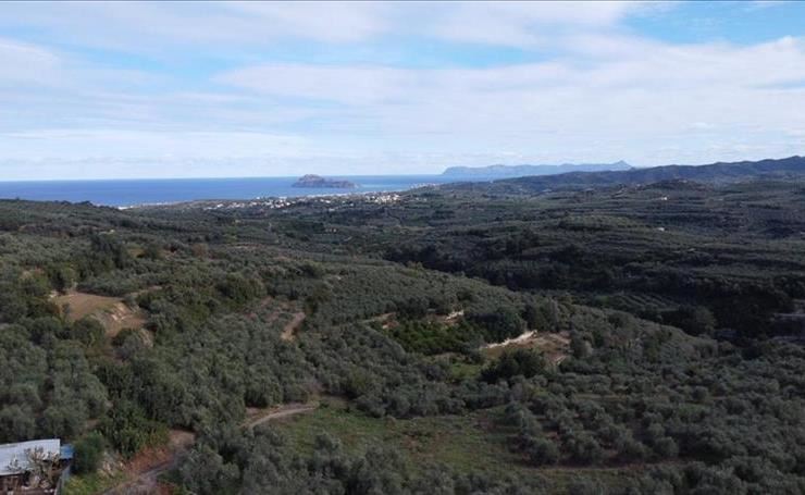 hirdetés 1. fotó