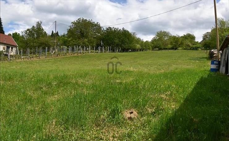 hirdetés 1. fotó