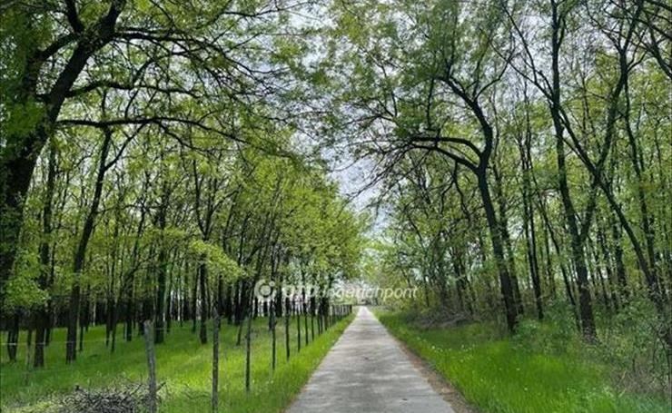 hirdetés 1. fotó