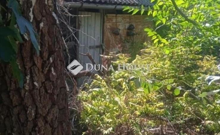 hirdetés 1. fotó