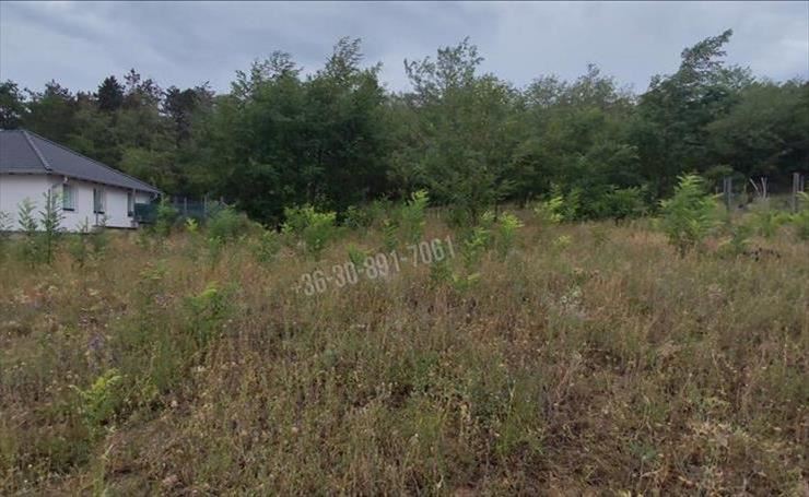 hirdetés 1. fotó