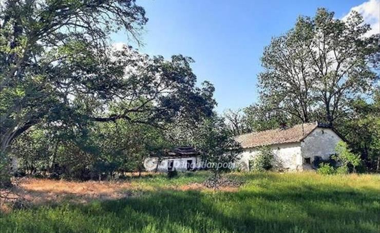 hirdetés 1. fotó