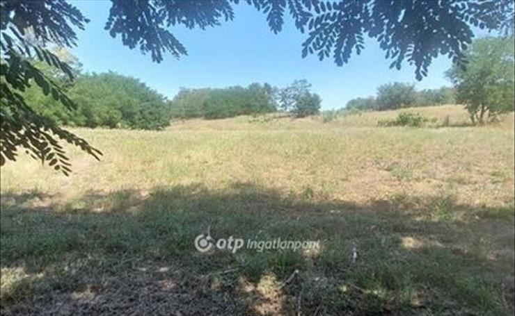 hirdetés 1. fotó