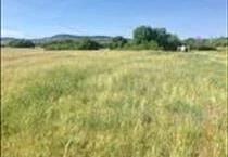 hirdetés 3. fotó