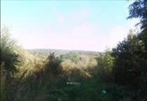 hirdetés 6. fotó