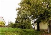hirdetés 7. fotó