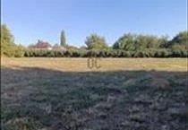hirdetés 7. fotó