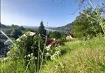 hirdetés 3. fotó