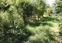 hirdetés 3. fotó