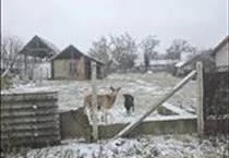 hirdetés 3. fotó