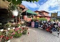 hirdetés 6. fotó
